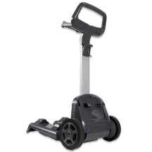 Robot de piscine Dolphin Star pour bassin jusqu\'à 12 m de long